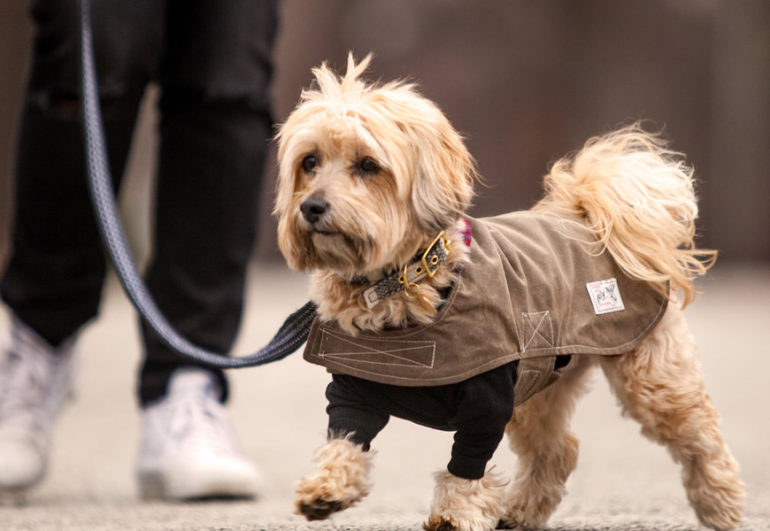 Contrary To Popular Belief