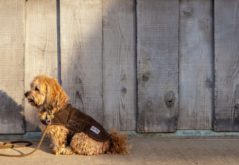 This Mistaken Idea Of Denouncing