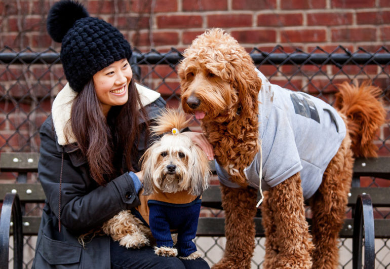 Reproduced Below For Those Interested