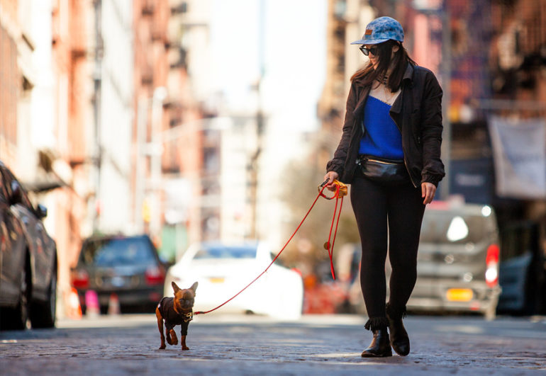 De Finibus Bonorum Et Malorum By Cicero